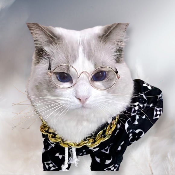 Pet PV Protection Sunglasses - Picture 1 of 8